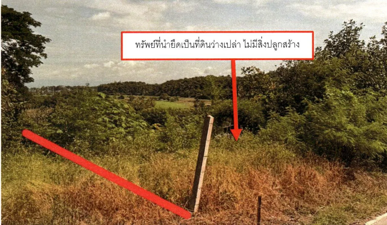 ขายทอดตลาด ที่ดินว่างเปล่า ต.บ้านโฮ่ง อ.บ้านโฮ่ง จ.ลำพูน