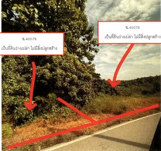 รูปทรัพย์ 2