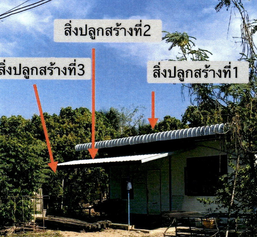 ขายทอดตลาด ที่ดินพร้อมสิ่งปลูกสร้าง ต.เหมืองง่า อ.เมืองลำพูน จ.ลำพูน