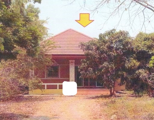 ขายทอดตลาด ที่ดินพร้อมสิ่งปลูกสร้าง ต.หนองกระทุ่ม อ.ค่ายบางระจัน จ.สิงห์บุรี