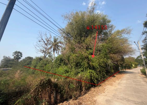 ขายทอดตลาด ที่ดินว่างเปล่า จ.สิงห์บุรี