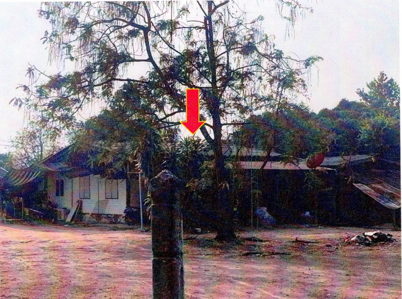 ขายทอดตลาด ที่ดินพร้อมสิ่งปลูกสร้าง ต.หนองเหียง อ.พนัสนิคม จ.ชลบุรี