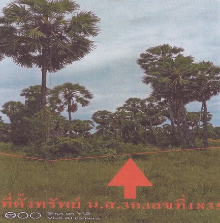 ขายทอดตลาด ที่ดินว่างเปล่า ต.จะทิ้งพระ อ.สทิงพระ จ.สงขลา