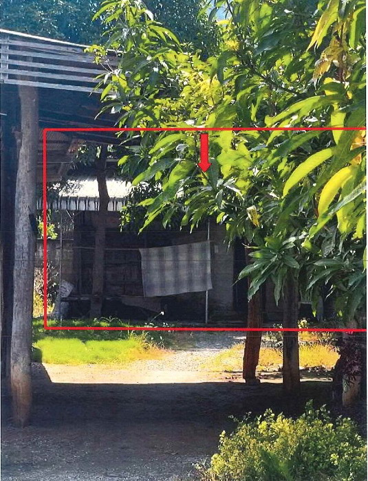 ขายทอดตลาด ที่ดินพร้อมสิ่งปลูกสร้าง ต.บ้านโฮ่ง อ.บ้านโฮ่ง จ.ลำพูน