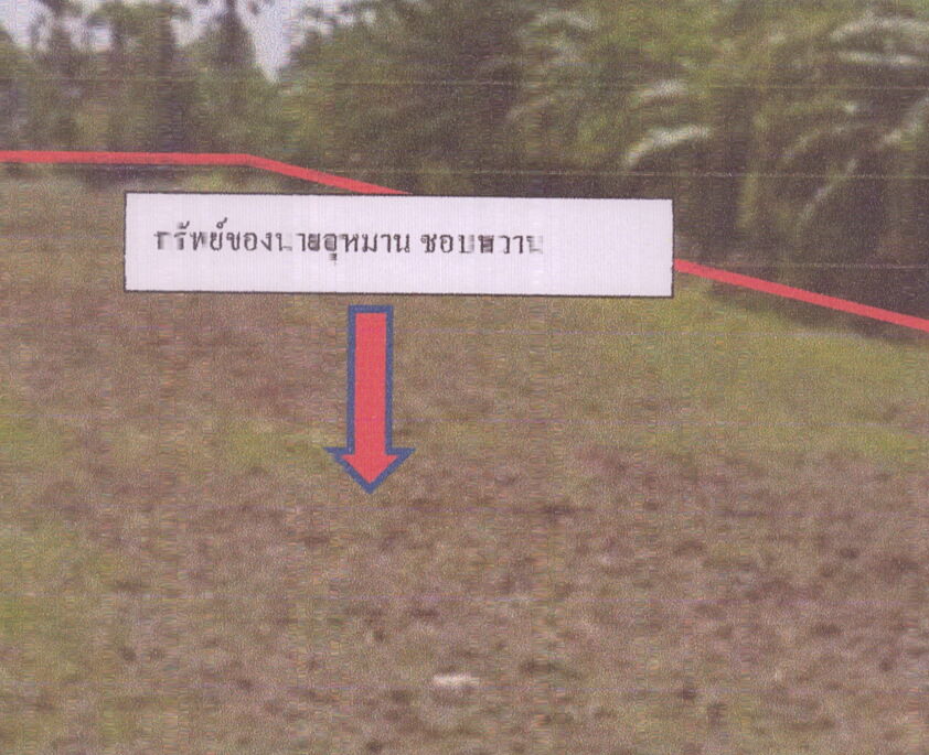 ขายทอดตลาด ที่ดินว่างเปล่า จ.สงขลา