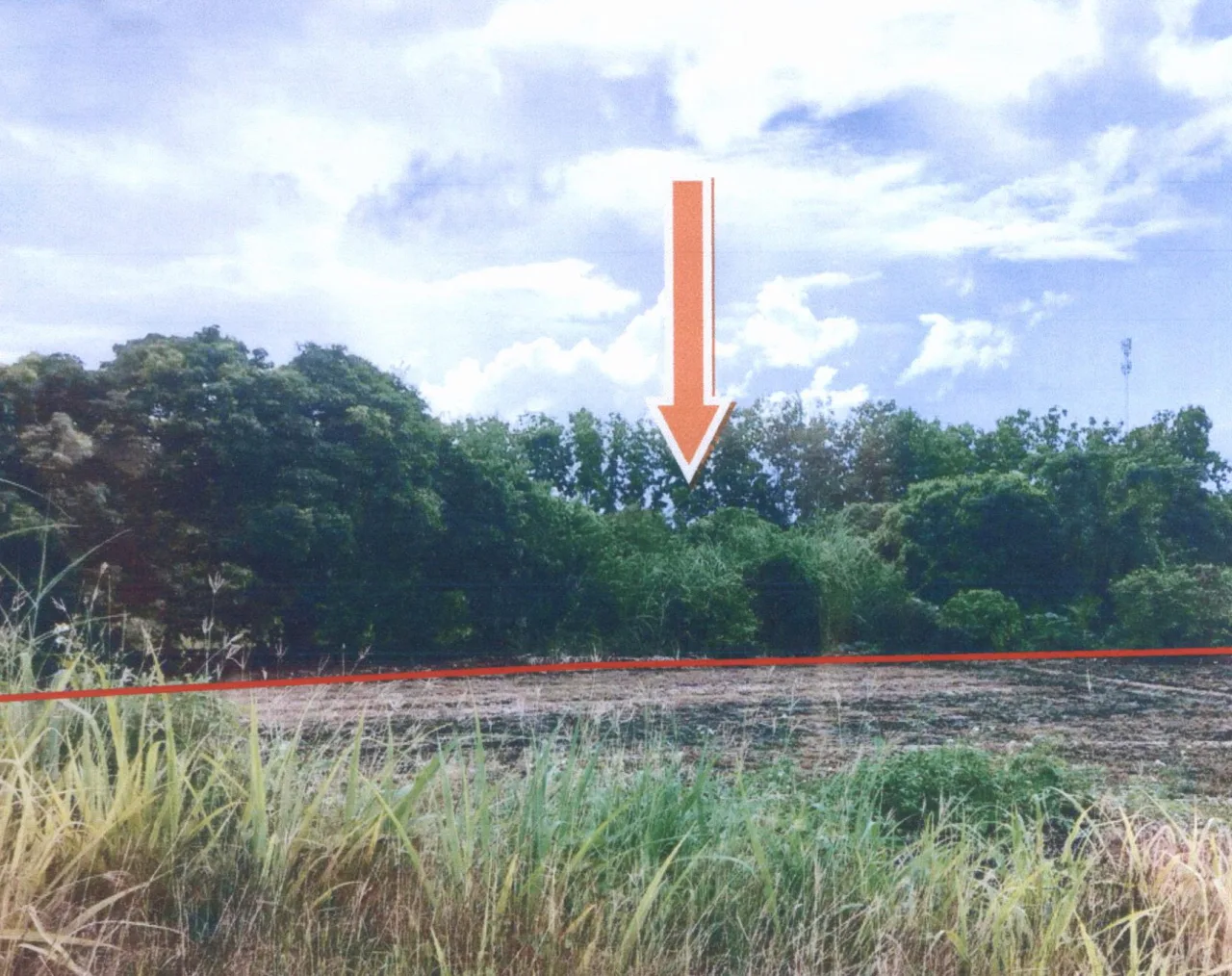 ขายทอดตลาด ที่ดินว่างเปล่า ต.ม่วงน้อย อ.ป่าซาง จ.ลำพูน