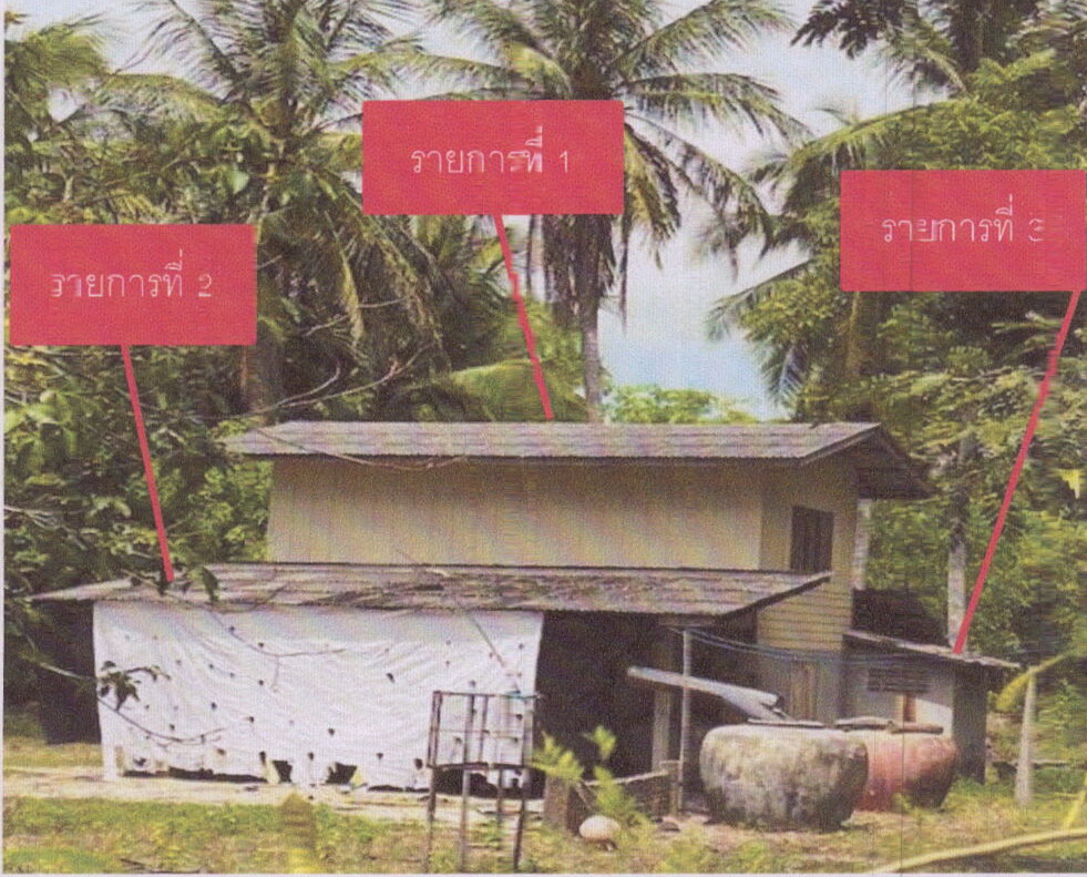 ขายทอดตลาด ที่ดินพร้อมสิ่งปลูกสร้าง ต.กระดังงา อ.สทิงพระ จ.สงขลา