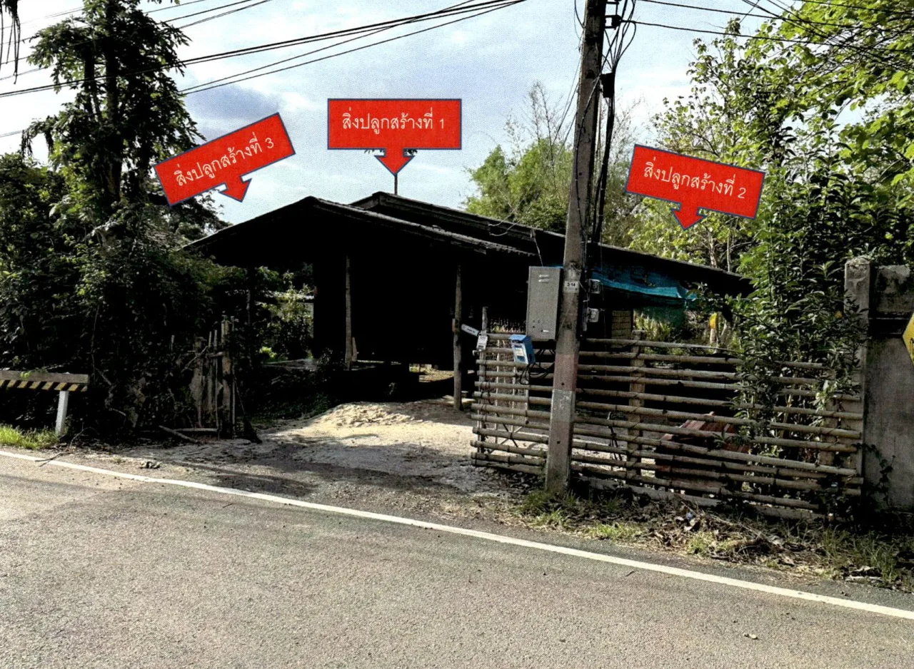ขายทอดตลาด ที่ดินพร้อมสิ่งปลูกสร้าง ต.ป่าสัก อ.เมืองลำพูน จ.ลำพูน