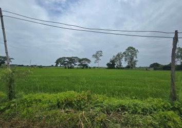 ขายทอดตลาด ที่ดินว่างเปล่า ต.ห้วยชัน อ.อินทร์บุรี จ.สิงห์บุรี