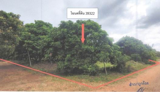 ขายทอดตลาด ที่ดินว่างเปล่า ต.หนองปลาสะวาย อ.บ้านโฮ่ง จ.ลำพูน