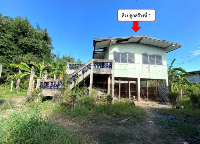 ขายทอดตลาด ที่ดินพร้อมสิ่งปลูกสร้าง ต.โรงช้าง(แป้งตก) อ.พรหมบุรี จ.สิงห์บุรี
