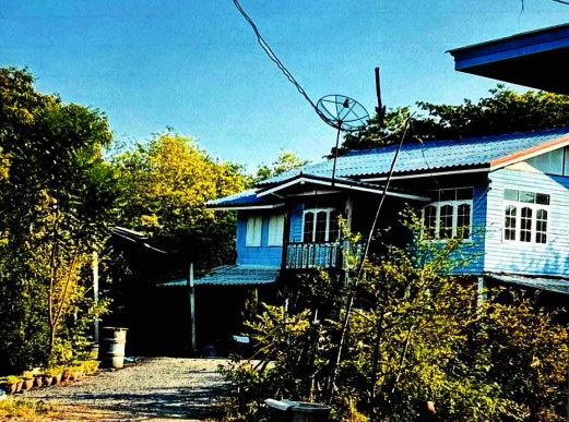 ขายทอดตลาด ที่ดินพร้อมสิ่งปลูกสร้าง ต.ทองเอน อ.อินทร์บุรี จ.สิงห์บุรี