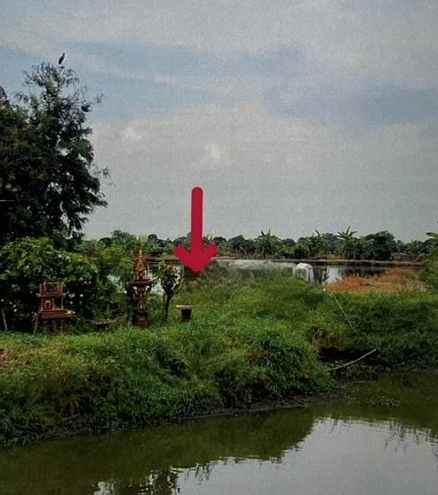 ขายทอดตลาด ที่ดินว่างเปล่า ต.บางเสาธง อ.บางเสาธง จ.สมุทรปราการ