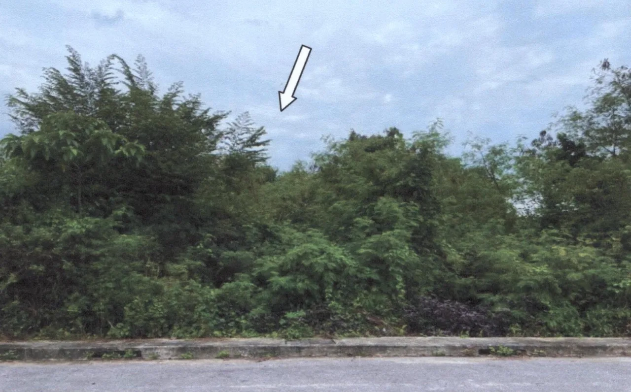 ขายทอดตลาด ที่ดินว่างเปล่า ต.หาดใหญ่ อ.หาดใหญ่ จ.สงขลา