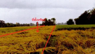 รูปทรัพย์ 3