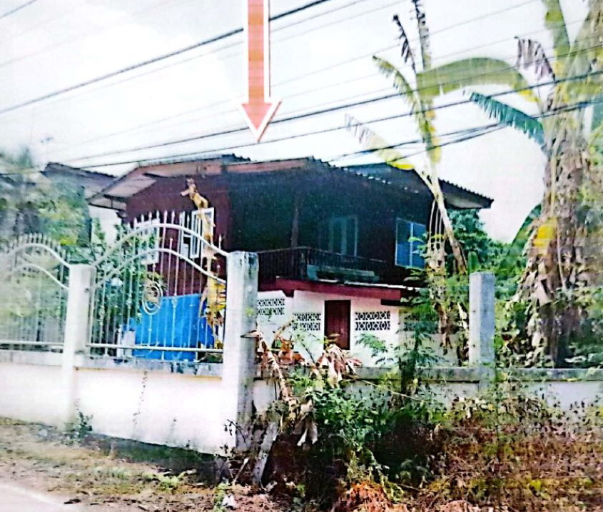 ขายทอดตลาด ที่ดินพร้อมสิ่งปลูกสร้าง ต.ป่าซาง อ.ป่าซาง จ.ลำพูน