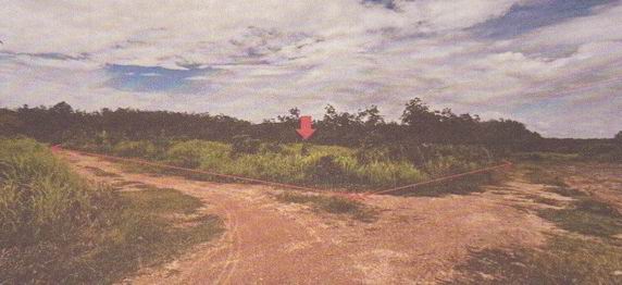 ขายทอดตลาด ที่ดินว่างเปล่า ต.กำแพงเพชร อ.รัตภูมิ จ.สงขลา