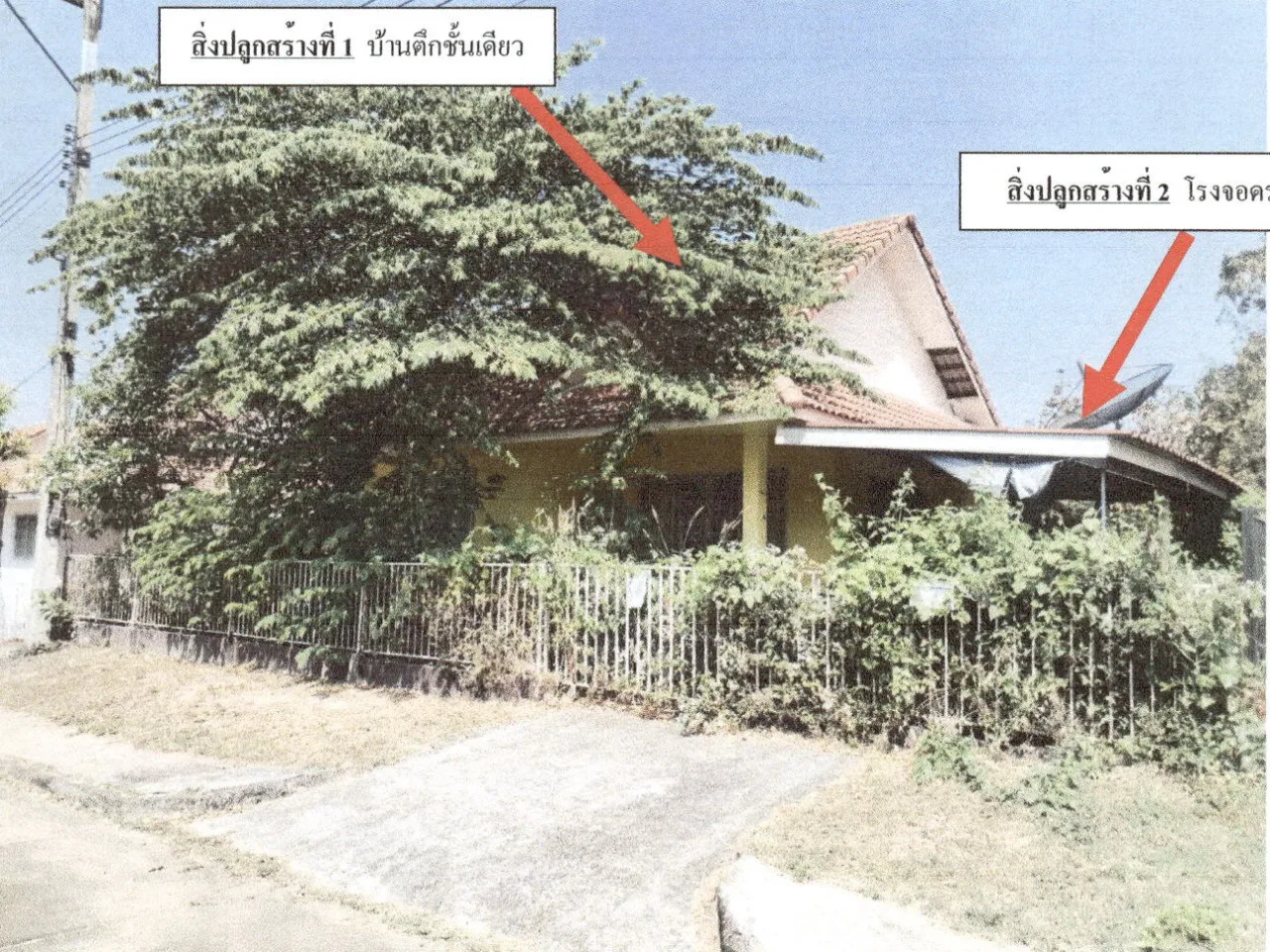 ขายทอดตลาด ที่ดินพร้อมสิ่งปลูกสร้าง ต.มะเขือแจ้ อ.เมืองลำพูน จ.ลำพูน