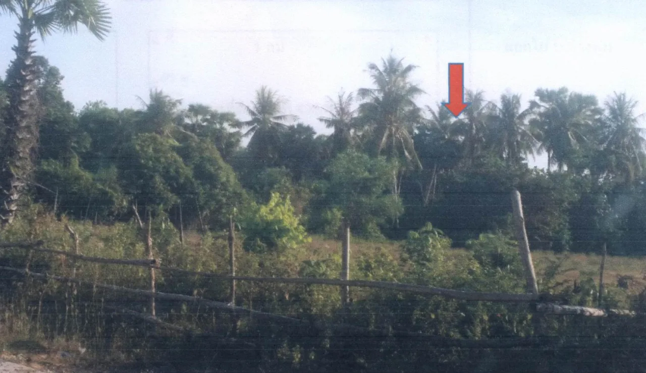ขายทอดตลาด ที่ดินว่างเปล่า ต.ม่วงงาม อ.สิงหนคร จ.สงขลา
