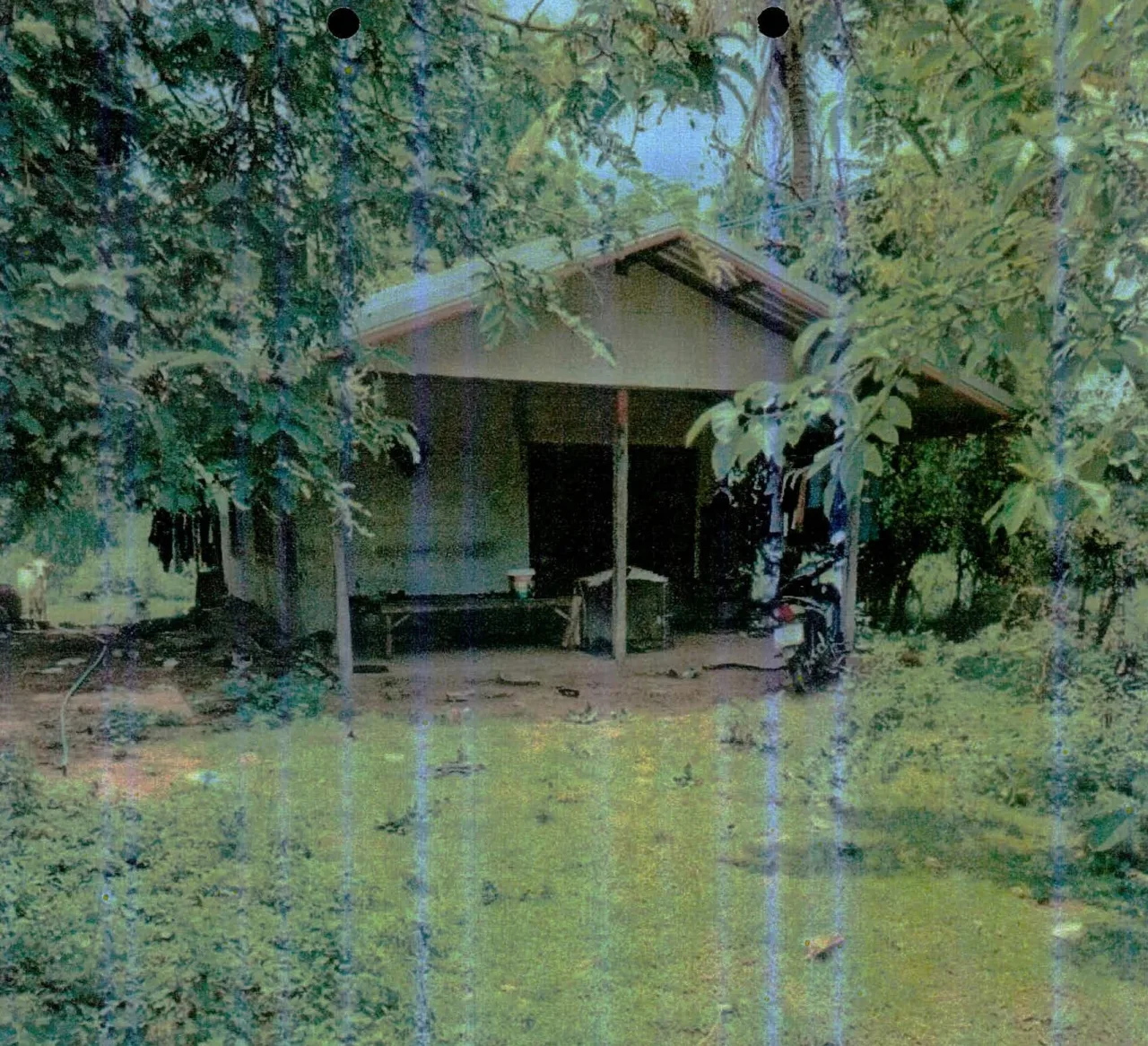 ขายทอดตลาด ที่ดินพร้อมสิ่งปลูกสร้าง ต.นาบัว อ.เมืองสุรินทร์ จ.สุรินทร์