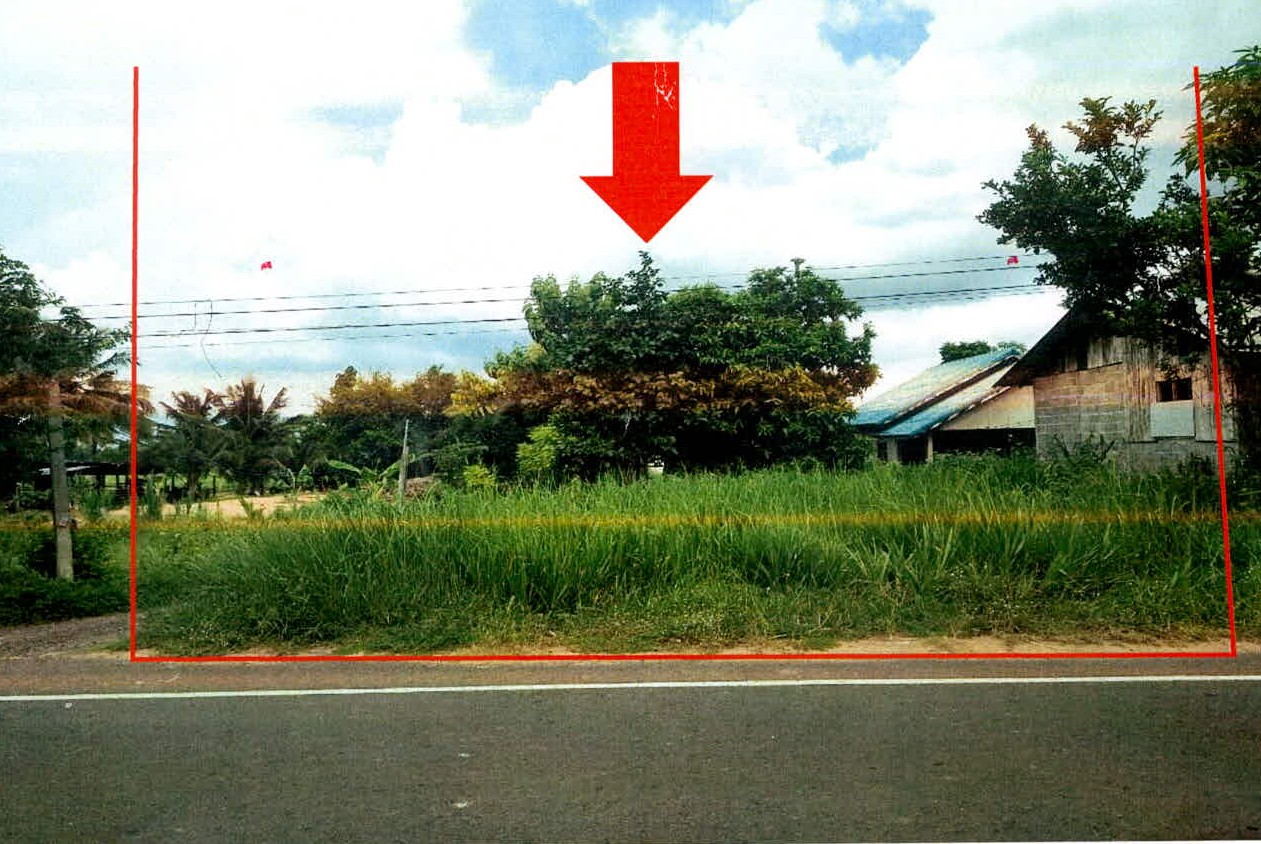ขายทอดตลาด ที่ดินว่างเปล่า ต.สำเภาลูน อ.บัวเชด จ.สุรินทร์