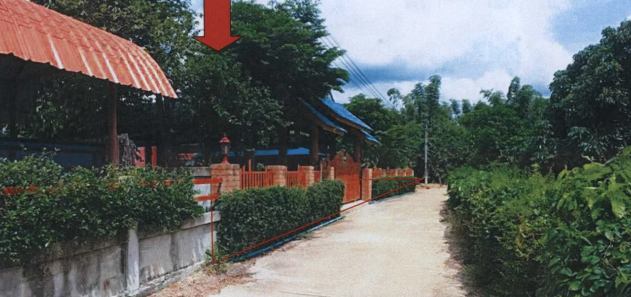 ขายทอดตลาด ที่ดินพร้อมสิ่งปลูกสร้าง ต.หนองล่อง อ.ป่าซาง จ.ลำพูน