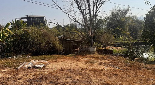 ขายทอดตลาด ที่ดินพร้อมสิ่งปลูกสร้าง ต.ทาปลาดุก อ.แม่ทา จ.ลำพูน