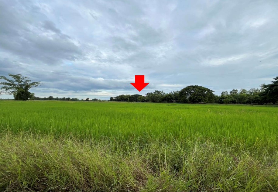 ขายทอดตลาด ที่ดินว่างเปล่า ต.ดอนหัน อ.เมืองขอนแก่น จ.ขอนแก่น