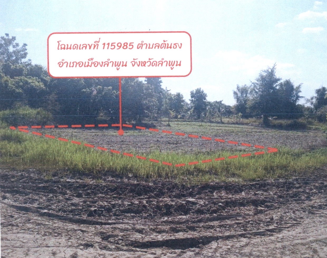 ขายทอดตลาด ที่ดินว่างเปล่า ต.ต้นธง อ.เมืองลำพูน จ.ลำพูน