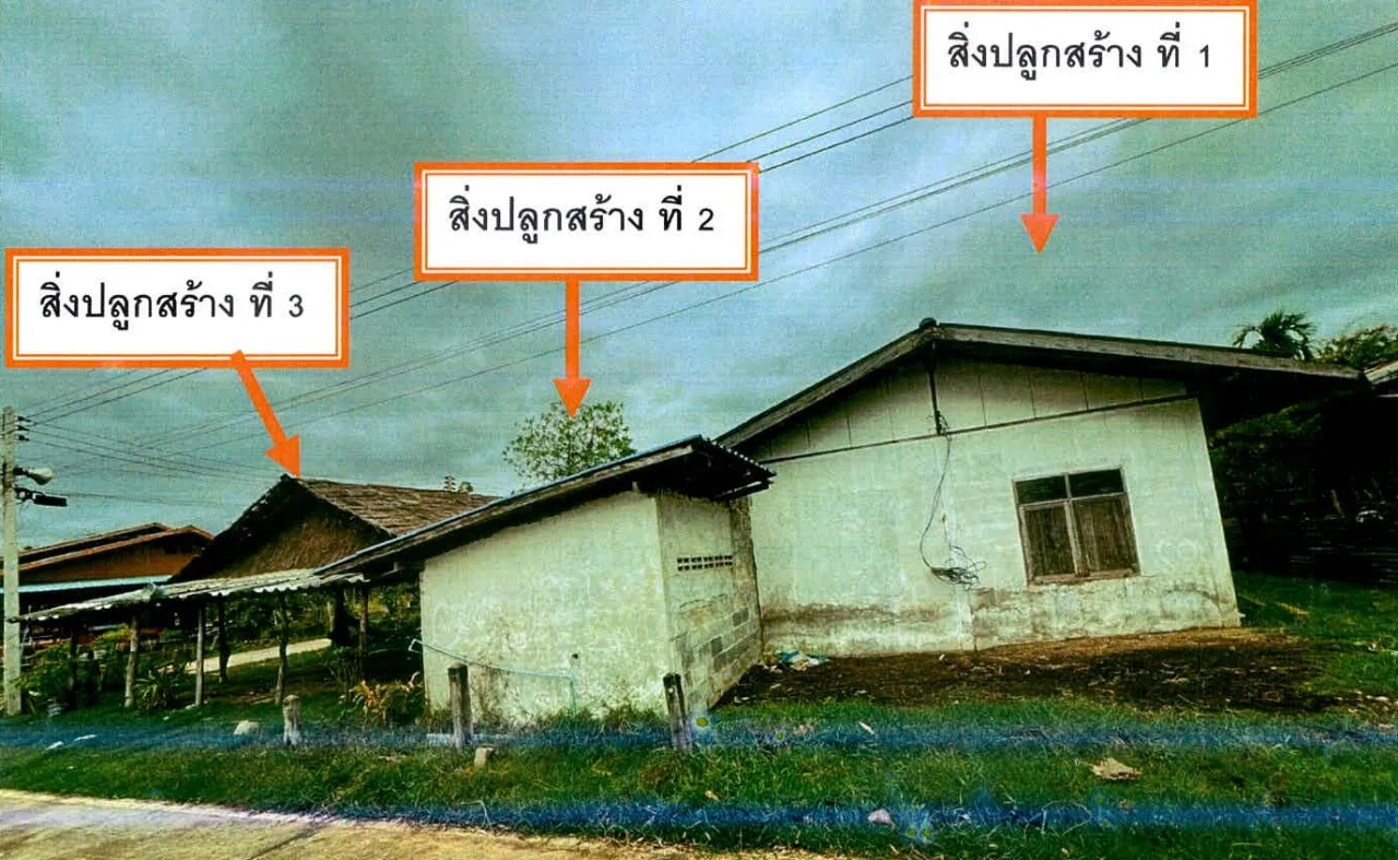 ขายทอดตลาด ที่ดินพร้อมสิ่งปลูกสร้าง ต.จารพัต อ.ศีขรภูมิ จ.สุรินทร์