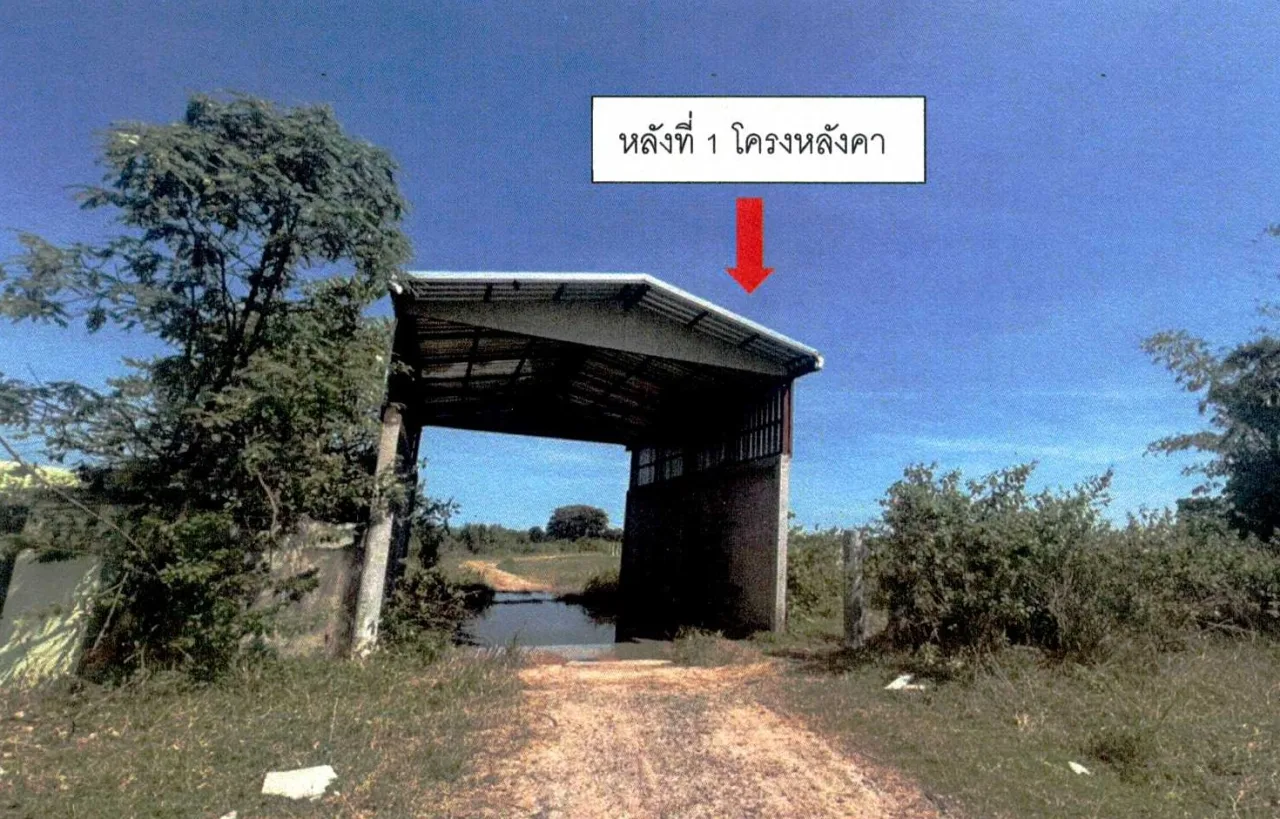 ขายทอดตลาด ที่ดินพร้อมสิ่งปลูกสร้าง ต.จอมพระ อ.จอมพระ จ.สุรินทร์