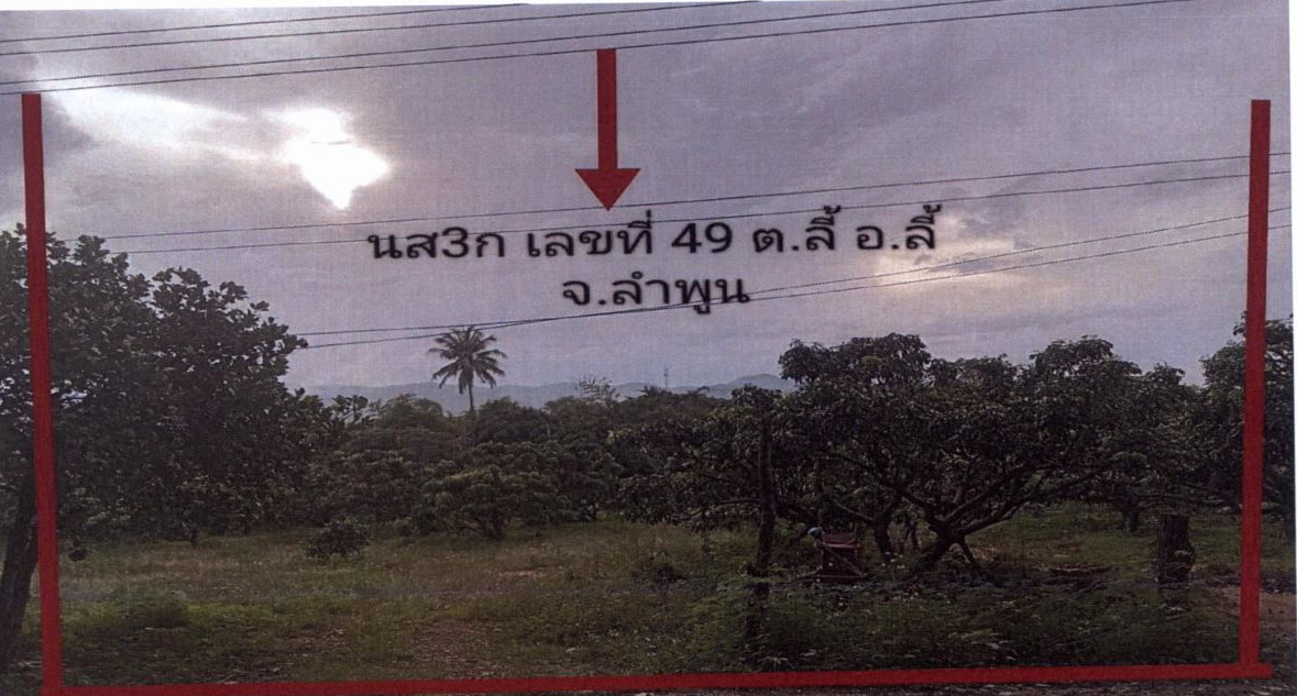 ขายทอดตลาด ที่ดินว่างเปล่า จ.ลำพูน