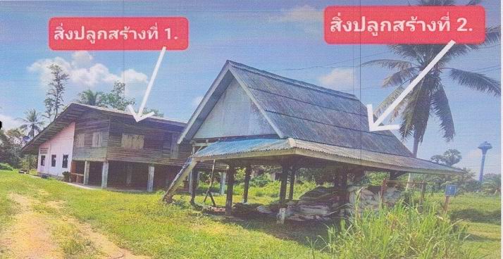 ขายทอดตลาด ที่ดินพร้อมสิ่งปลูกสร้าง ต.กำแพงเพชร อ.รัตภูมิ จ.สงขลา