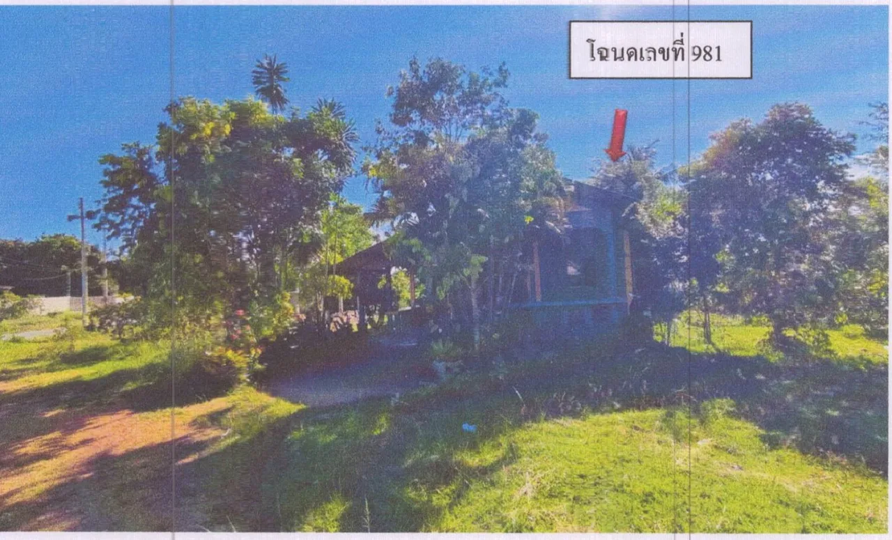 ขายทอดตลาด ที่ดินพร้อมสิ่งปลูกสร้าง ต.รัตภูมิ อ.ควนเนียง จ.สงขลา