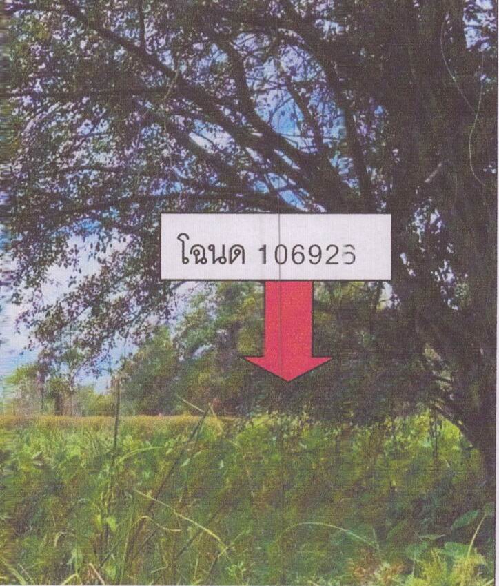 ขายทอดตลาด ที่ดินว่างเปล่า ต.เกาะแต้ว อ.เมืองสงขลา จ.สงขลา