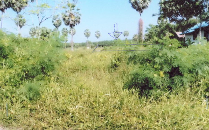 ขายทอดตลาด ที่ดินว่างเปล่า ต.รัตภูมิ อ.ควนเนียง จ.สงขลา