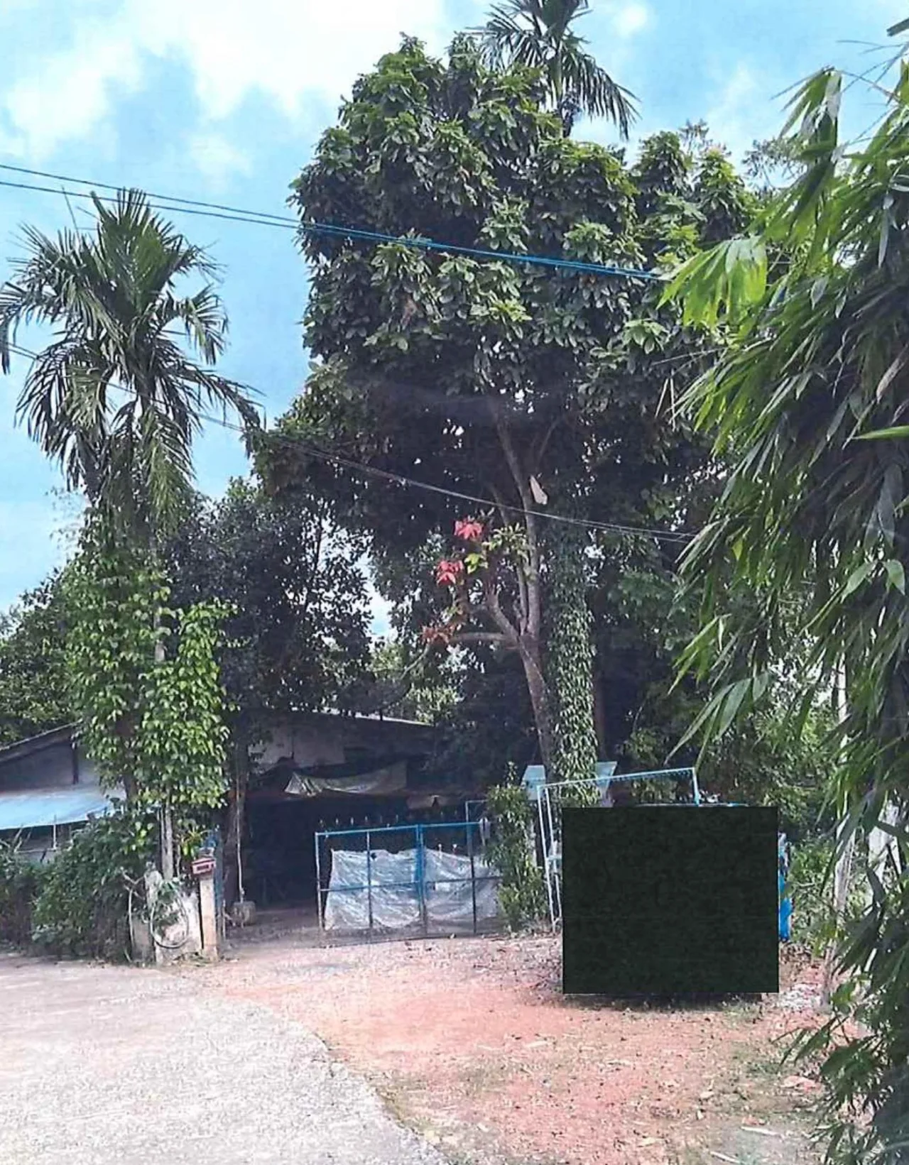 ขายทอดตลาด ที่ดินพร้อมสิ่งปลูกสร้าง ต.ประตูป่า อ.เมืองลำพูน จ.ลำพูน