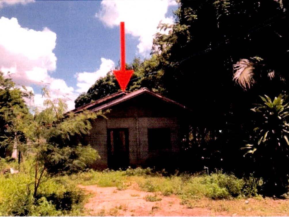 ขายทอดตลาด ที่ดินพร้อมสิ่งปลูกสร้าง ต.บักได อ.กิ่งอำเภอพนมดงรักษ์ จ.สุรินทร์