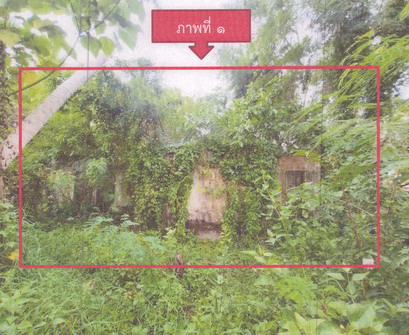 ขายทอดตลาด ที่ดินพร้อมสิ่งปลูกสร้าง ต.พะวง อ.เมืองสงขลา จ.สงขลา