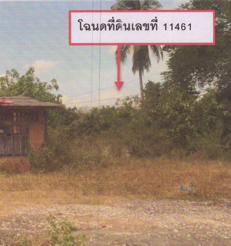 ขายทอดตลาด ที่ดินว่างเปล่า ต.บางเหรียง อ.ควนเนียง จ.สงขลา