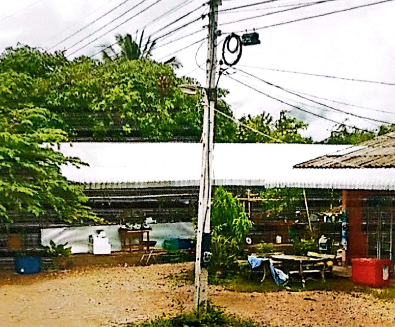 ขายทอดตลาด ที่ดินพร้อมสิ่งปลูกสร้าง ต.ก้อ อ.ลี้ จ.ลำพูน