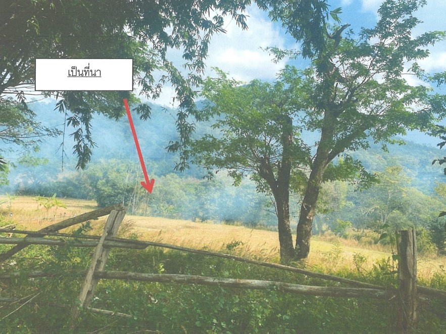ขายทอดตลาด ที่ดินว่างเปล่า ต.ดงดำ อ.ลี้ จ.ลำพูน