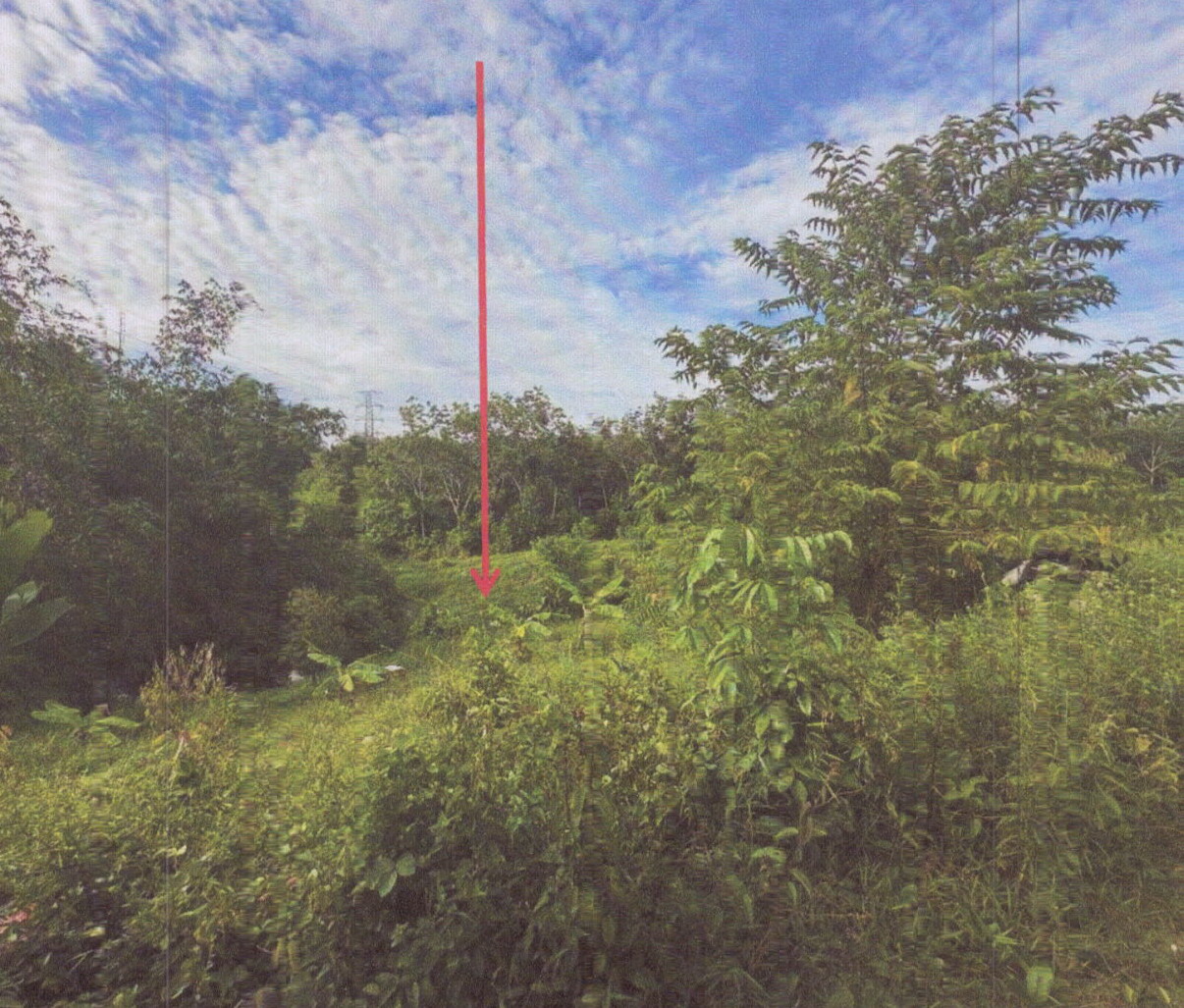ขายทอดตลาด ที่ดินว่างเปล่า ต.บ้านพรุ อ.หาดใหญ่ จ.สงขลา