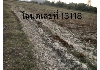 รูปทรัพย์ 2