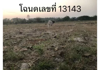 รูปทรัพย์ 3