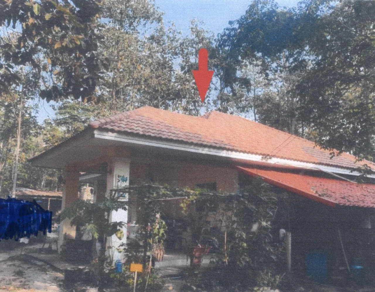 ขายทอดตลาด ที่ดินพร้อมสิ่งปลูกสร้าง ต.ป่าสัก อ.เมืองลำพูน จ.ลำพูน