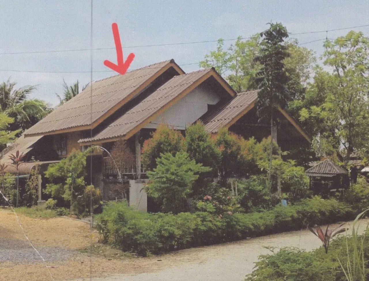 ขายทอดตลาด ที่ดินพร้อมสิ่งปลูกสร้าง ต.ป่าขาด อ.สิงหนคร จ.สงขลา