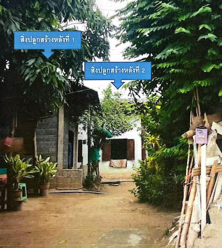 ขายทอดตลาด ที่ดินพร้อมสิ่งปลูกสร้าง ต.ป่าซาง อ.ป่าซาง จ.ลำพูน