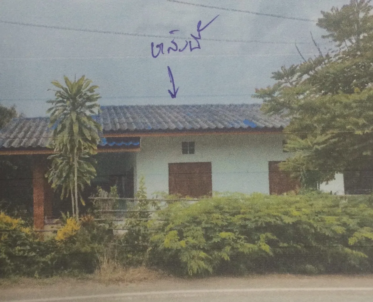 ขายทอดตลาด ที่ดินพร้อมสิ่งปลูกสร้าง ต.แม่ตืน อ.ลี้ จ.ลำพูน
