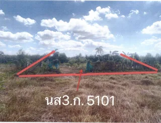 รูปทรัพย์ 2
